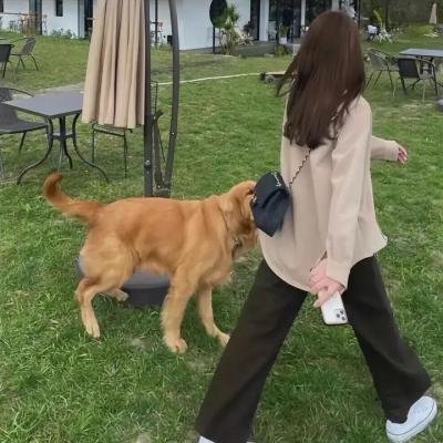 香车宝马